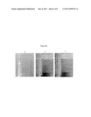 SYSTEM AND METHOD FOR PROCESSING RADAR IMAGERY diagram and image