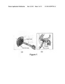 3D TISSUE MODEL FORMATION FROM NON-PARALLEL 2D IMAGES diagram and image