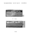 GEOTEXTILE EXCLUSION FABRIC AND METHODS OF USE diagram and image