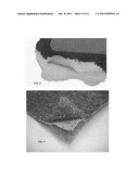 GEOTEXTILE EXCLUSION FABRIC AND METHODS OF USE diagram and image