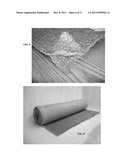 GEOTEXTILE EXCLUSION FABRIC AND METHODS OF USE diagram and image