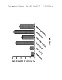 Combination Therapy With Anti-CD74 Antibodies Provides Enhanced Toxicity     to Malignancies, Autoimmune Disease and Other Diseases diagram and image