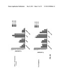 Combination Therapy With Anti-CD74 Antibodies Provides Enhanced Toxicity     to Malignancies, Autoimmune Disease and Other Diseases diagram and image