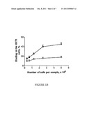 METHODS FOR INCREASING EFFICACY OF RADIOIMMUNOTHERAPY OF MELANOMA diagram and image