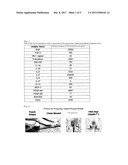 COMPOSITION FOR SKIN REGENERATION, CONTAINING A SECRETION IN THE CULTURE     OF AN EMBRYONIC STEM CELL-DERIVED ENDOTHELIAL PROGENITOR CELL OR     FRACTIONS THEREOF, AND USE THEREOF diagram and image