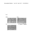 USE OF FOXP2 AS A MARKER FOR ABNORMAL  LYMPHOCYTES AND AS A TARGET FOR     THERAPY OF DISORDERS ASSOCIATED WITH ABNORMAL LYMPHOCYTES diagram and image