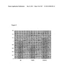 USE OF FOXP2 AS A MARKER FOR ABNORMAL  LYMPHOCYTES AND AS A TARGET FOR     THERAPY OF DISORDERS ASSOCIATED WITH ABNORMAL LYMPHOCYTES diagram and image