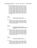 USE OF FOXP2 AS A MARKER FOR ABNORMAL  LYMPHOCYTES AND AS A TARGET FOR     THERAPY OF DISORDERS ASSOCIATED WITH ABNORMAL LYMPHOCYTES diagram and image