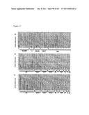 USE OF FOXP2 AS A MARKER FOR ABNORMAL  LYMPHOCYTES AND AS A TARGET FOR     THERAPY OF DISORDERS ASSOCIATED WITH ABNORMAL LYMPHOCYTES diagram and image