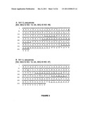 CHIMERIC AND HUMANIZED ANTIBODIES TO ALPHA5BETA1 INTEGRIN THAT MODULATE     ANGIOGENESIS diagram and image