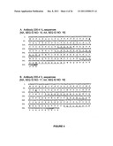 CHIMERIC AND HUMANIZED ANTIBODIES TO ALPHA5BETA1 INTEGRIN THAT MODULATE     ANGIOGENESIS diagram and image