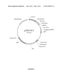 CHIMERIC AND HUMANIZED ANTIBODIES TO ALPHA5BETA1 INTEGRIN THAT MODULATE     ANGIOGENESIS diagram and image