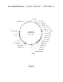 CHIMERIC AND HUMANIZED ANTIBODIES TO ALPHA5BETA1 INTEGRIN THAT MODULATE     ANGIOGENESIS diagram and image