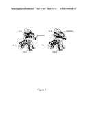 IL-4-DERIVED PEPTIDES FOR MODULATION OF THE CHRONIC INFLAMMATORY RESPONSE     AND TREATMENT OF AUTOIMMUNE DISEASES diagram and image