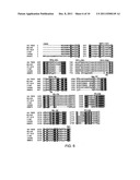 LJUNGAN VIRUS diagram and image