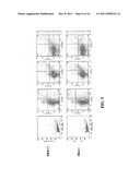 COMPOSITIONS AND METHODS FOR MODULATING CELL-CELL FUSION VIA     INTERMEDIATE-CONDUCTANCE CALCIUM-ACTIVATED POTASSIUM CHANNELS diagram and image