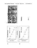 COMPOSITIONS AND METHODS FOR MODULATING CELL-CELL FUSION VIA     INTERMEDIATE-CONDUCTANCE CALCIUM-ACTIVATED POTASSIUM CHANNELS diagram and image