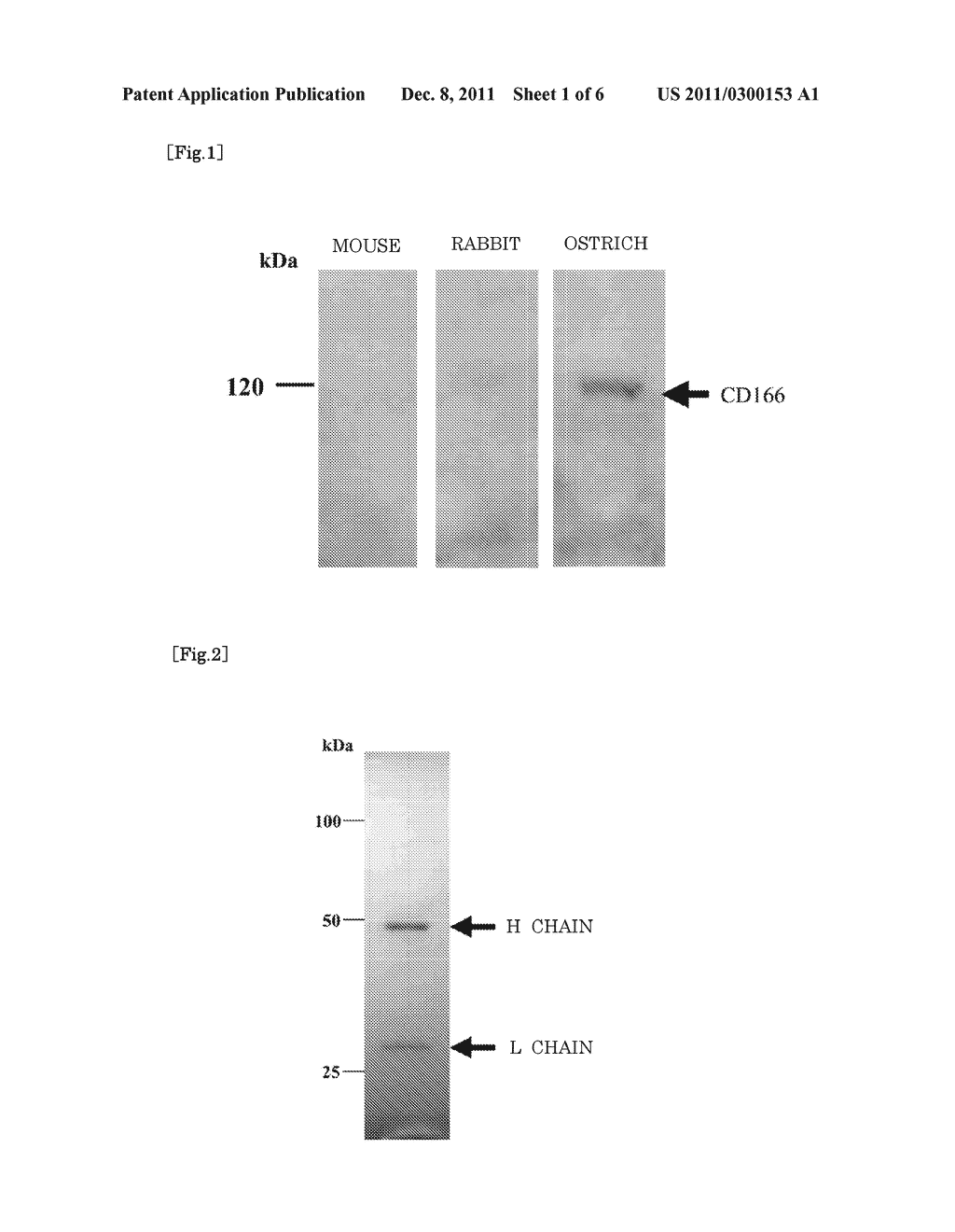 ANTIBODY PRODUCED USING OSTRICH AND METHOD FOR PRODUCTION THEREOF - diagram, schematic, and image 02