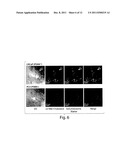 NANOSTRUCTURES FOR DRUG DELIVERY diagram and image