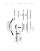 FLAXSEED LIGNAN COMPLEX AND ITS USE THEREOF diagram and image