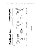 FLAXSEED LIGNAN COMPLEX AND ITS USE THEREOF diagram and image