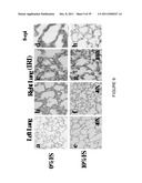 FLAXSEED LIGNAN COMPLEX AND ITS USE THEREOF diagram and image