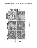 FLAXSEED LIGNAN COMPLEX AND ITS USE THEREOF diagram and image