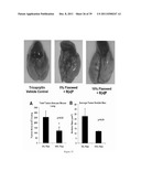 FLAXSEED LIGNAN COMPLEX AND ITS USE THEREOF diagram and image