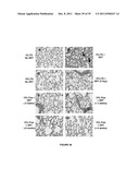 FLAXSEED LIGNAN COMPLEX AND ITS USE THEREOF diagram and image