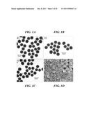 Carbon Coated Anode Materials diagram and image