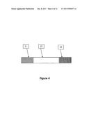 FUEL CELL SYSTEM WITH REOXIDATION BARRIER diagram and image