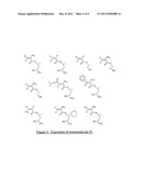 Antireflective Coating Composition and Process Thereof diagram and image