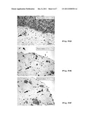 IN VITRO TEST SYSTEM FOR VIRAL INFECTIONS diagram and image