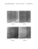 METHODS FOR IMPROVING THE BIOACTIVITY CHARACTERISTICS OF A SURFACE AND     OBJECTS WITH SURFACES IMPROVED THEREBY diagram and image