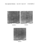 METHODS FOR IMPROVING THE BIOACTIVITY CHARACTERISTICS OF A SURFACE AND     OBJECTS WITH SURFACES IMPROVED THEREBY diagram and image