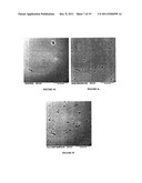 METHODS FOR IMPROVING THE BIOACTIVITY CHARACTERISTICS OF A SURFACE AND     OBJECTS WITH SURFACES IMPROVED THEREBY diagram and image