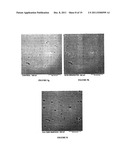 METHODS FOR IMPROVING THE BIOACTIVITY CHARACTERISTICS OF A SURFACE AND     OBJECTS WITH SURFACES IMPROVED THEREBY diagram and image