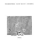 METHODS FOR IMPROVING THE BIOACTIVITY CHARACTERISTICS OF A SURFACE AND     OBJECTS WITH SURFACES IMPROVED THEREBY diagram and image