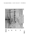 PROTEIN ISOFORMS FOR DIAGNOSIS diagram and image