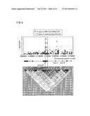 RISK ASSESSMENT FOR CUTANEOUS ADVERSE DRUG REACTIONS FROM ANTIRETROVIRAL     AGENT diagram and image