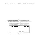 Composition and Methods Related to Modification of 5-Hydroxymethylcytosine     (5-hmC) diagram and image