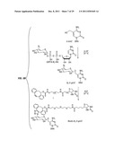 Composition and Methods Related to Modification of 5-Hydroxymethylcytosine     (5-hmC) diagram and image