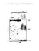 Composition and Methods Related to Modification of 5-Hydroxymethylcytosine     (5-hmC) diagram and image