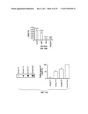 Composition and Methods Related to Modification of 5-Hydroxymethylcytosine     (5-hmC) diagram and image