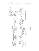 Composition and Methods Related to Modification of 5-Hydroxymethylcytosine     (5-hmC) diagram and image