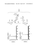 Composition and Methods Related to Modification of 5-Hydroxymethylcytosine     (5-hmC) diagram and image