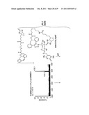 Composition and Methods Related to Modification of 5-Hydroxymethylcytosine     (5-hmC) diagram and image