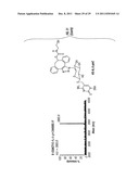 Composition and Methods Related to Modification of 5-Hydroxymethylcytosine     (5-hmC) diagram and image