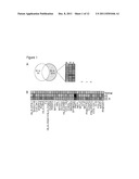 Methods of Determining Efficacy of Glucocorticoid Treatment of     Eosinophilic Esophagitis diagram and image