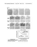 NECTIN-4 FOR TARGET GENES OF CANCER THERAPY AND DIAGNOSIS diagram and image